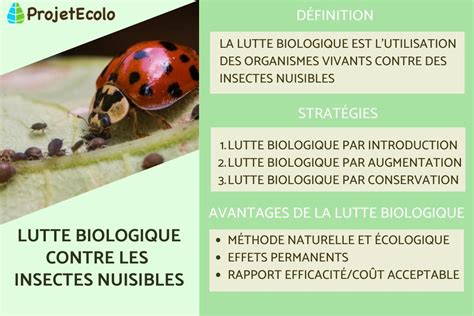 infographie sur la lutte biologique avec des insectes auxiliaires