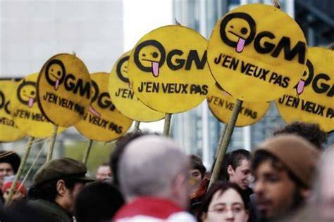 Manifestation contre les OGM