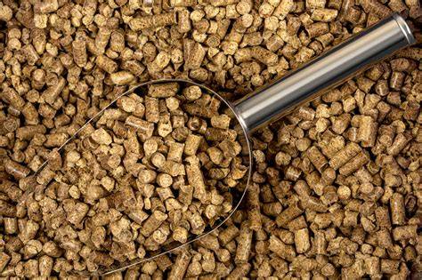 Aliments pour bétail à base de soja