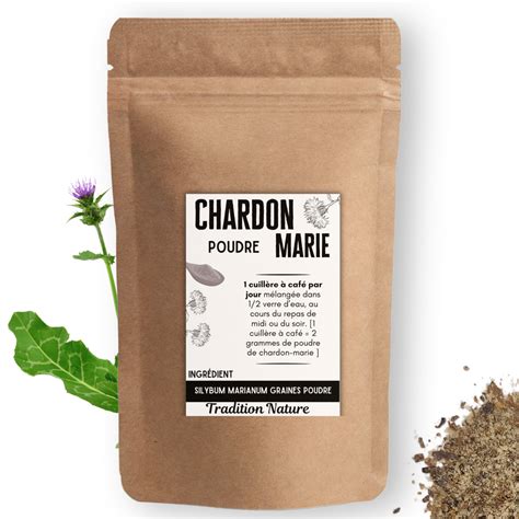 Différentes formes de Chardon-Marie (graines, poudre, capsules)