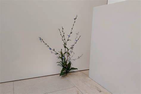 Photo de l'installation