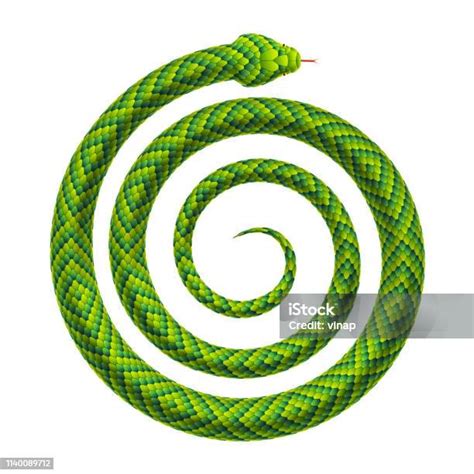 Illustration d'un buis sculpté en forme de spirale