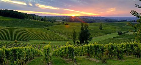 Vignobles de Bergerac