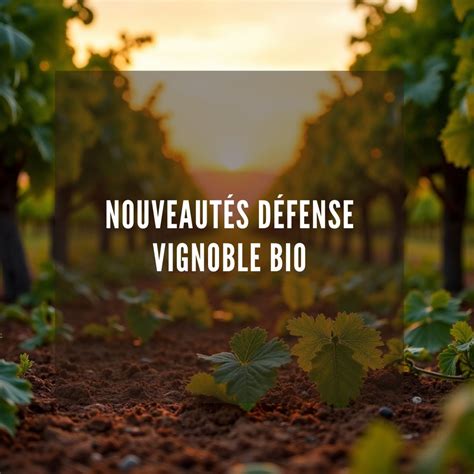 Vignoble biologique