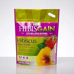 engrais pour hibiscus