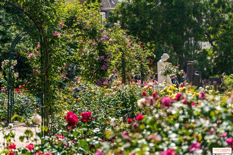 Jardin de rosiers bien entretenus et espacés