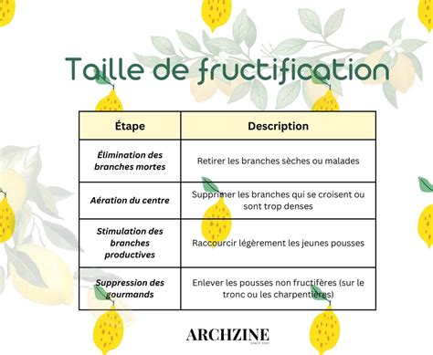 Infographie sur les différents types de taille (formation, fructification, restructuration)