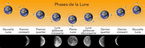Illustration des différentes phases de combat de la Reine Wyverne de Cristal