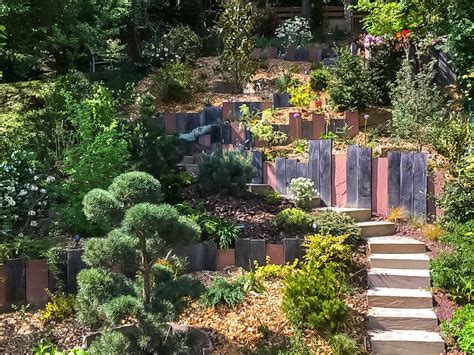 Exemple de jardin permaculturel aménagé