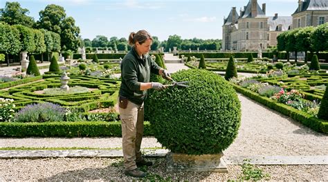Jardinier du patrimoine taillant un topiaire dans un jardin à la française