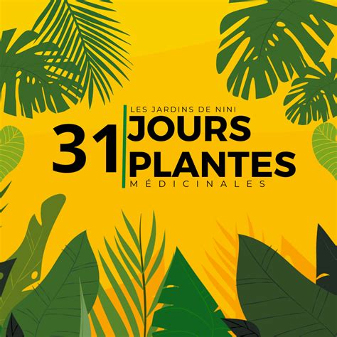 Infographie présentant un calendrier des plantes médicinales à cueillir selon les saisons