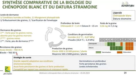 Diagramme comparatif des stratégies de lutte contre le chénopode blanc