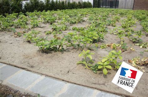 Infographie sur la composition et les avantages du paillage Techmat