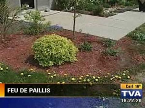 Paillis dangereux
