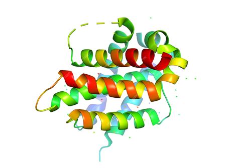 Molécule de la protéine Fel d1