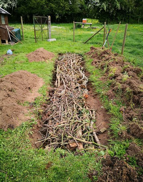 Exemple de butte de culture pour un meilleur drainage