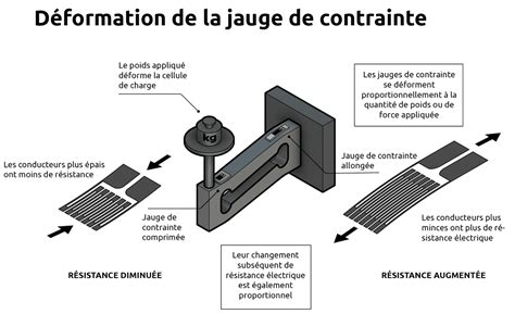 Schéma des jauges de la Morpho-Hache
