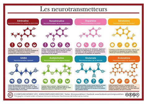 Infographie des différents types de fioles et leurs effets
