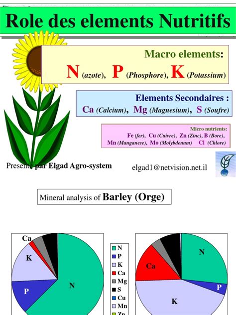 Diagramme des éléments nutritifs essentiels pour les plantes
