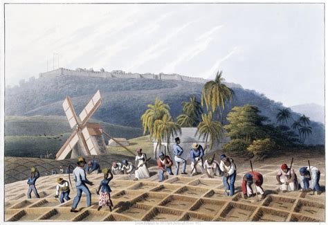 Représentation d'une plantation du Sud de l'Amérique avec des esclaves au travail