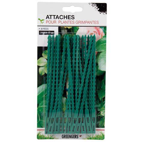 Différents types d'attaches pour plantes