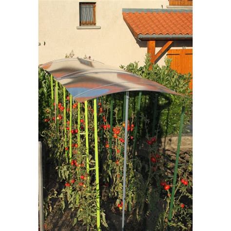 Abri en bambou pour tomates
