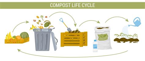 Illustration du cycle de vie du compost et de son utilisation au jardin