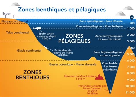 Schéma des différentes zones de protection dans les Calanques