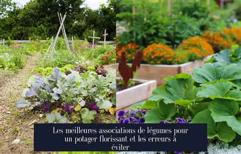 potager florissant et potager desséché