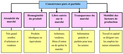 Schéma des différents types de taille