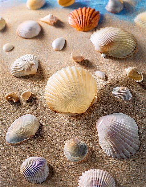Variété de couleurs de sable