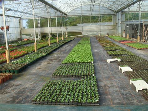 Image d'une exploitation horticole bretonne moderne et diversifiée