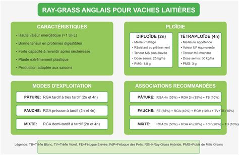 infographie expliquant le rôle du Ray Grass anglais, de la Fétuque élevée et du Pâturin des prés dans le mélange de gazon