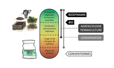 image montrant différents types de fertilisants organiques