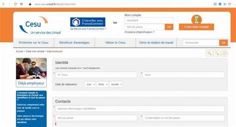 Capture d'écran de l'interface de déclaration CESU en ligne