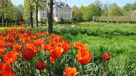 Festival de tulipes au Château de Vendeuvre