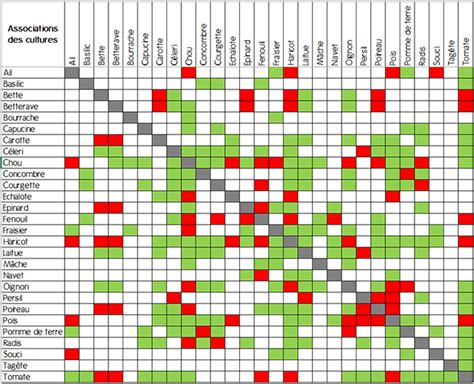Tableau des associations de cultures conseillées avec le trèfle incarnat
