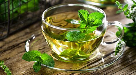 infusion de menthe