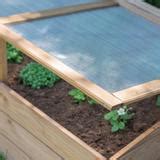 Châssis froid en bois avec un couvercle ouvert montrant des semis