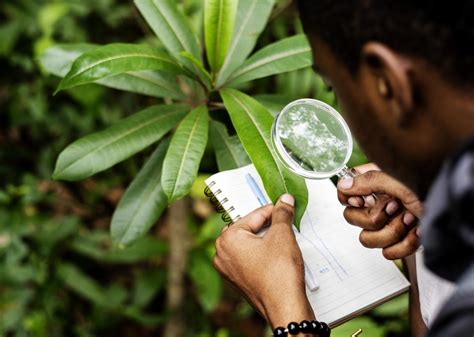 illustration d'un botaniste expliquant des plantes