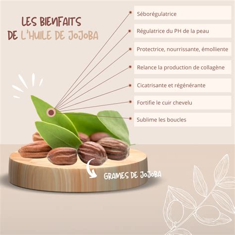 Infographie sur les propriétés de l'huile de jojoba