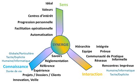 Schéma illustrant la synergie des ingrédients