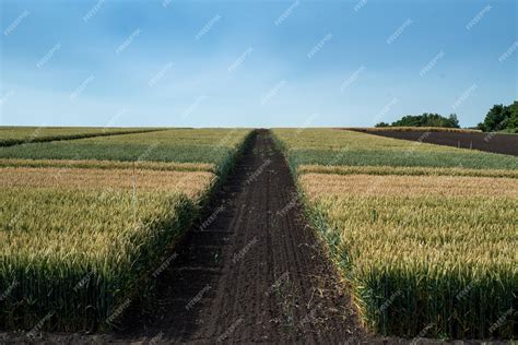 Paysage rural typique de la Sarthe avec des parcelles agricoles et des zones de stockage de compost organique
