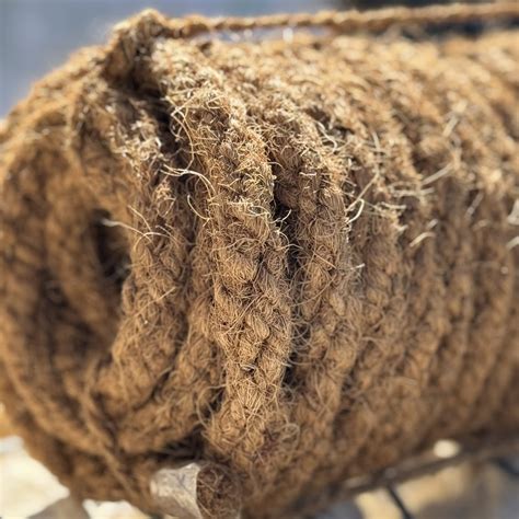 Corde de coco en rouleau avec des pousses d'arbres tuteurées