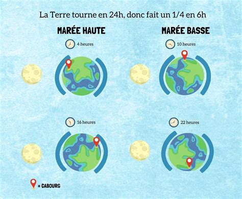 Schéma explicatif du phénomène des marées sur la plage des Cathédrales