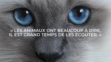 communication animale