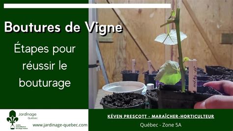 Schéma explicatif pour réussir le bouturage au niveau du nœud