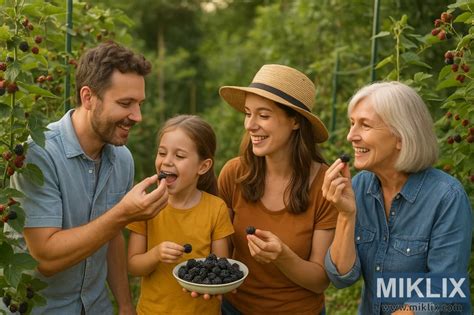 Famille cueillant des fruits dans un champ