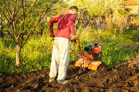Motoculteur avec charrue labourant un champ