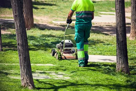 Représentation des différents métiers des espaces verts